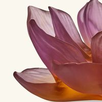 دوم حامل البخور جاردان دو لوتس باللون الوردي