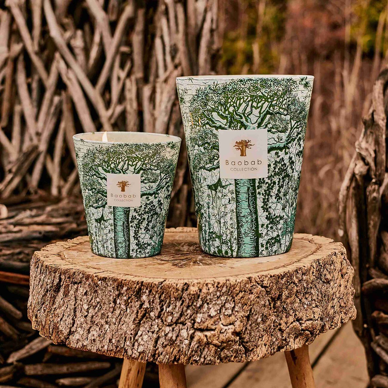 Sacred Trees Kamalo Candle Max 16 baobab collection sacred trees kamalo candle max 16