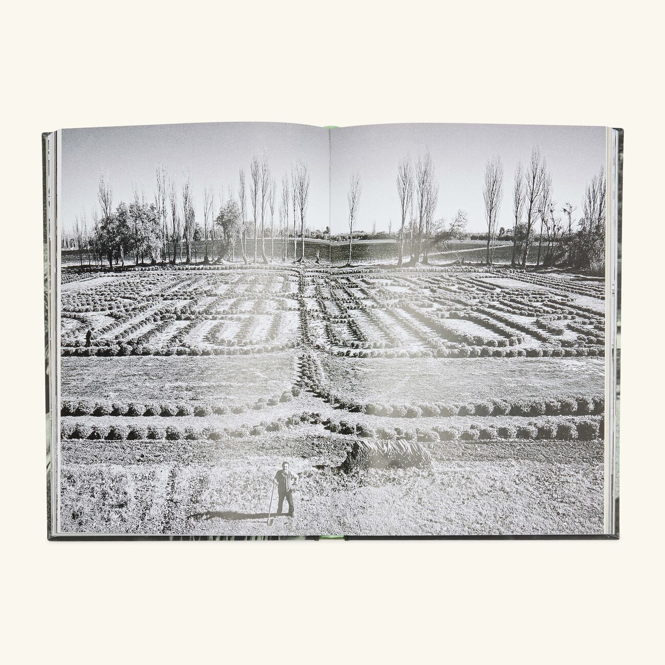 Jorge Luis Borges & María Kodama The Infinite Encounter Book 28x19cm assouline jorge luis borges mar a kodama the infinite encounter book 28x19cm