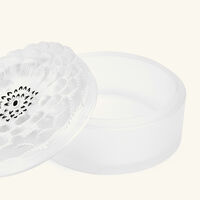 lalique dahlia no  2 box white