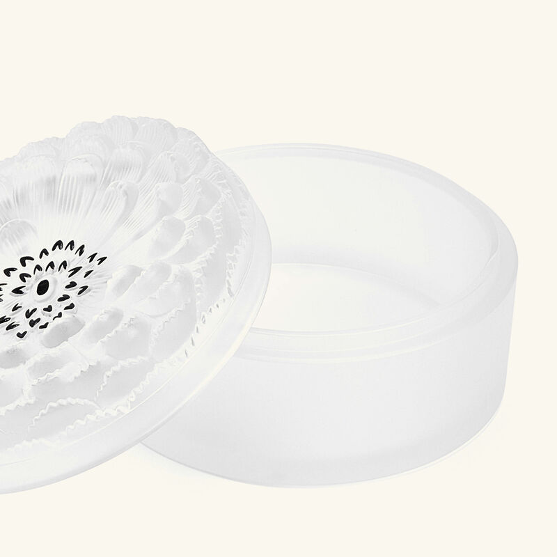 lalique dahlia no  2 box white