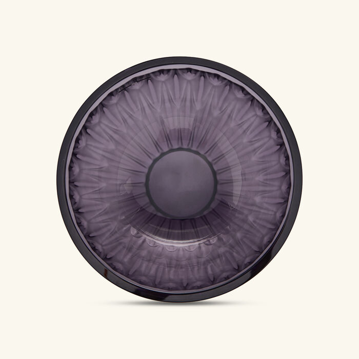 Vesper Plumes Bowl Purple lalique vesper plumes bowl purple