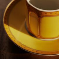 روزنتال فنجان القهوة سيغنوم جونكيل مع صحنه أصفر