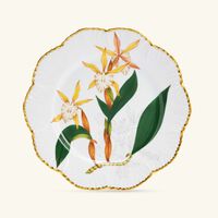 pinto paris histoires d orchidees dinner plate round yellow 26cm