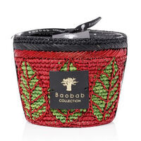 Hazo Noely baobab collection hazo noely