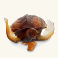 Mer de Corail Sea Turtle Figurine Mini Yellow daum mer de corail sea turtle figurine mini yellow