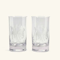 ralph lauren home garrett drinking glass clear set of 2