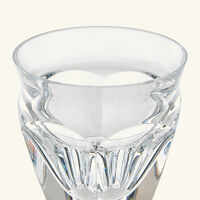 baccarat harcourt talleyrand drinking glass clear set of 2