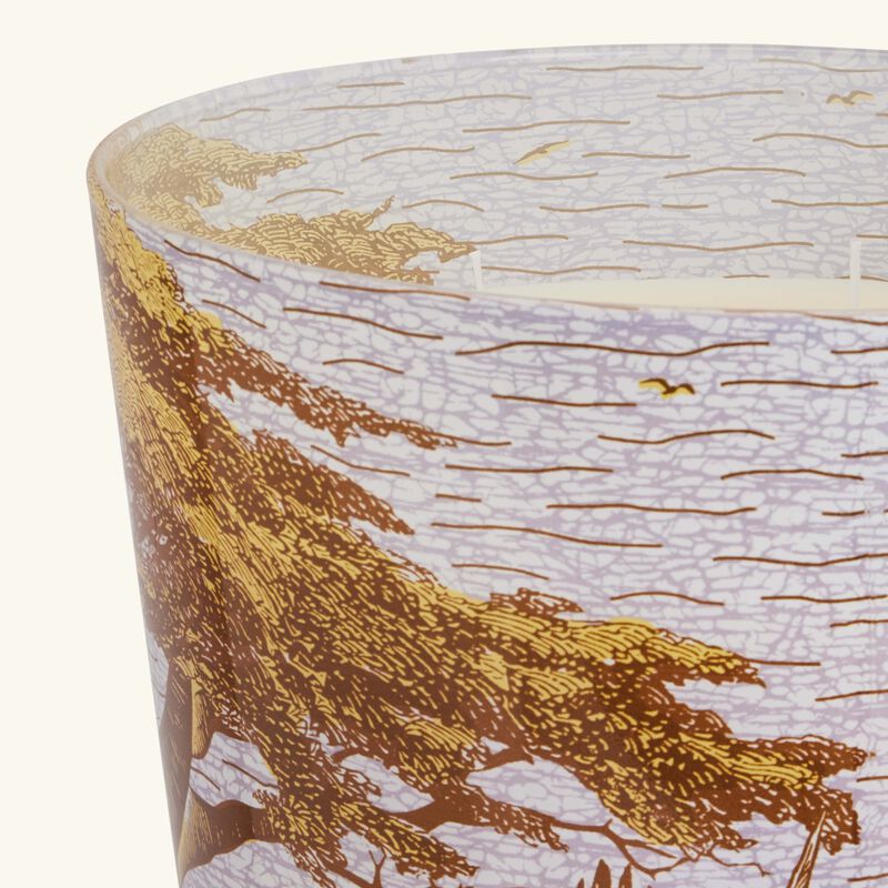 باوباب شمعة سيكرد تريز بوكاني المعطرة ماكس 35