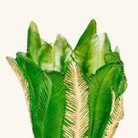 دوم مزهرية بالم بيتش متوسطة خضراء