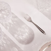 L' Ame De Christofle Ice Cream Spoon Stainless Steel l ame de christofle ice cream spoon stainless steel