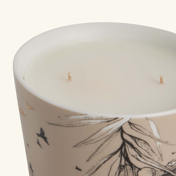 Naseem First Light Candle 500g silsal naseem first light candle 500g