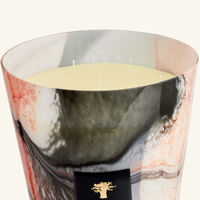 baobab collection delta zamb ze candle maxi max