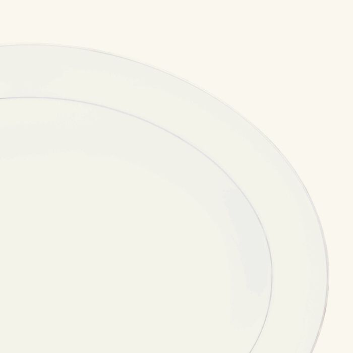 طبق الضيافة آلبي بيضاوي باللون الفضي 38 سم كريستوفل طبق الضيافة آلبي بيضاوي باللون الفضي 38 سم