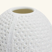 bernardaud boiserie lithophanie