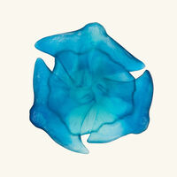 دوم وعاء مايا رايز أزرق