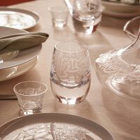 dimlaj thuluth drinking glass clear 240ml set of 6