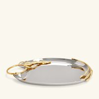 لوبجيه صينية فيرن بالحجم المتوسط