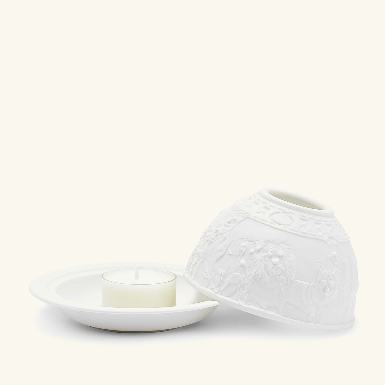 برناردو مصباح ليثوفاني دوجز