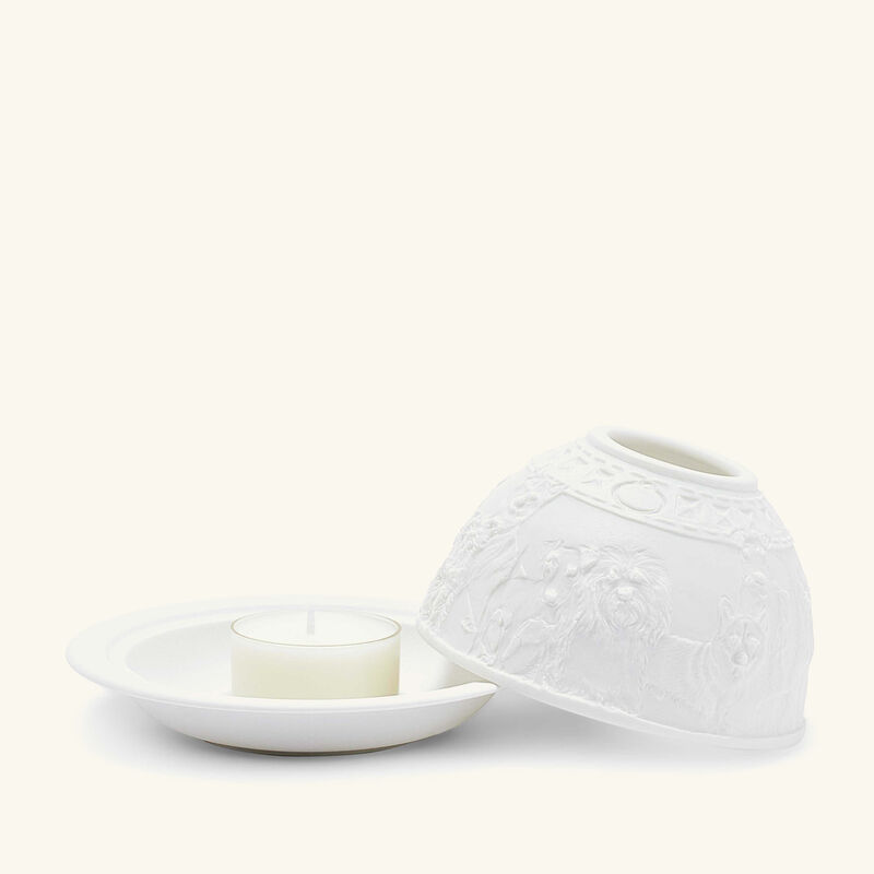 برناردو مصباح ليثوفاني دوجز