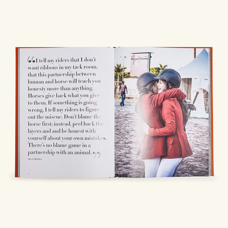 آسولين كتاب ويلنجتون عالم الخيول 10   13 سم