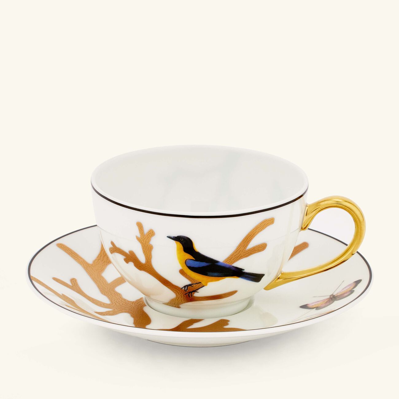 برناردو فنجان الشاي أو زوازو مع صحنه باللون الذهبي