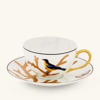 برناردو فنجان الشاي أو زوازو مع صحنه باللون الذهبي