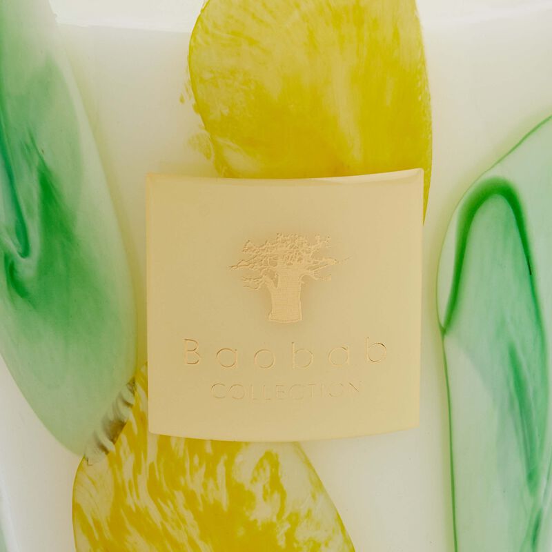 باوباب شمعة ريفييرا سانتو سوسبير ماكس 24