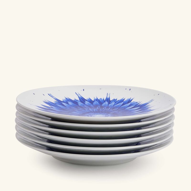 bernardaud in bloom salad plate round blue 21cm set of 6