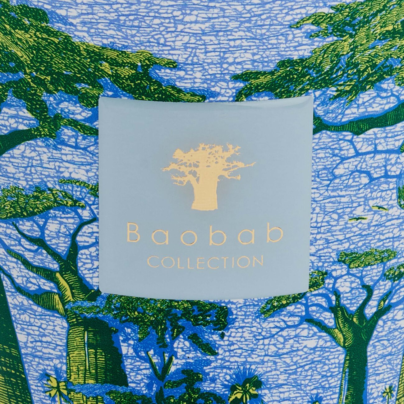 Sacred Trees Yarani Candle Max 16 baobab collection sacred trees yarani candle max 16