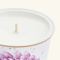 برناردو كوب إن بلوم مع شمعة معطرة