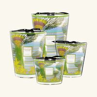 Cities Singapore Candle Max 10 baobab collection cities singapore candle max 10