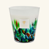 باوباب شمعة رينفورست أمازونيا ماكس 16