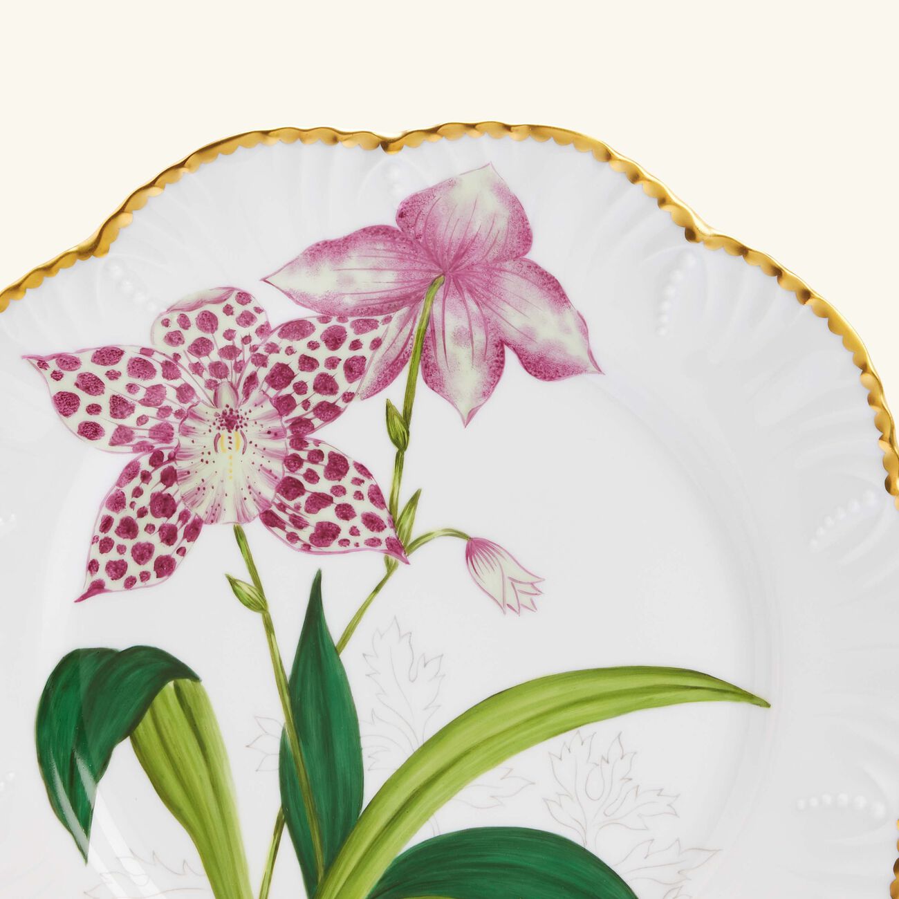 بينتو باريس طبق الطعام إيستوار دوركيديه دائري 26 سم