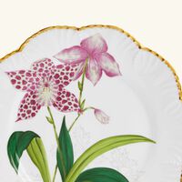 بينتو باريس طبق الطعام إيستوار دوركيديه دائري 26 سم