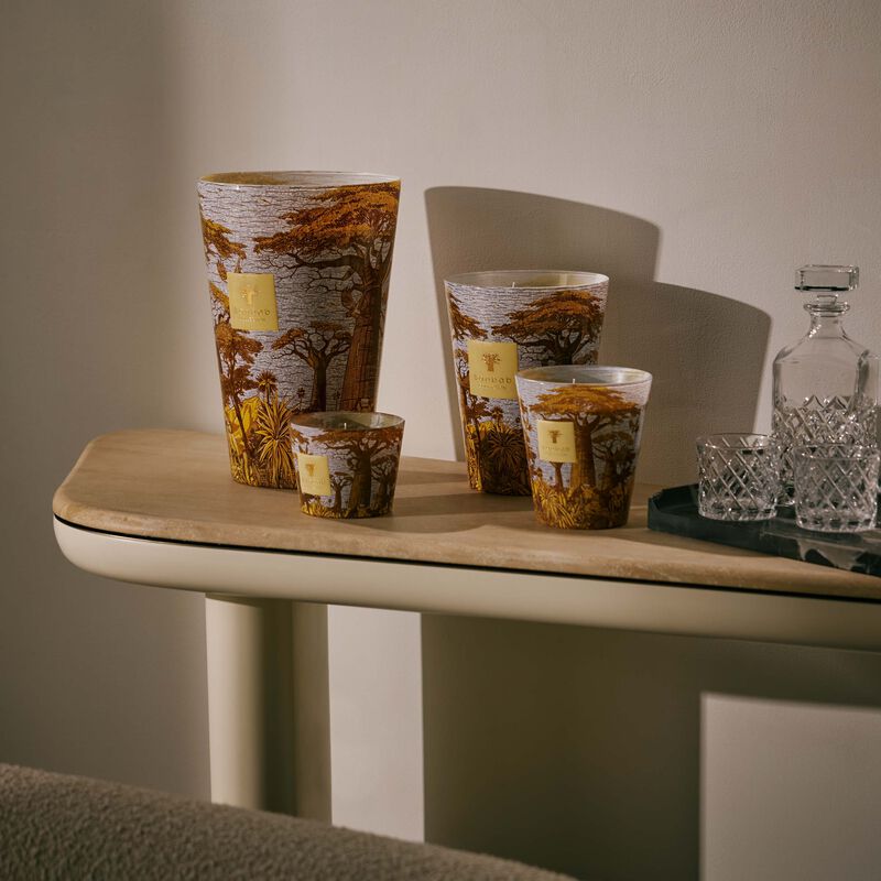 شمعة باوباب سيكرد تريز كوكودي ماكس 16 شمعة باوباب سيكرد تريز كوكودي ماكس 16