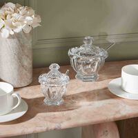 baccarat harcourt missouri mustard jar with spoon clear