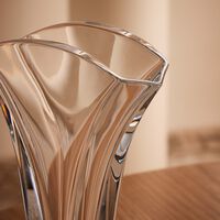 باكارا مزهرية جينكو صغيرة شفافة