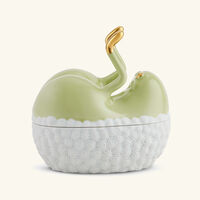 Haas Butts Up Box Green l objet haas butts up box green