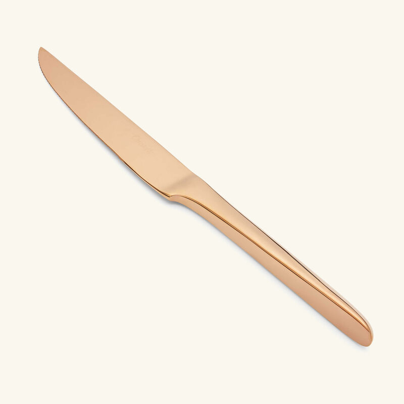 سكين الستيك لام دو كريستوفل وردي