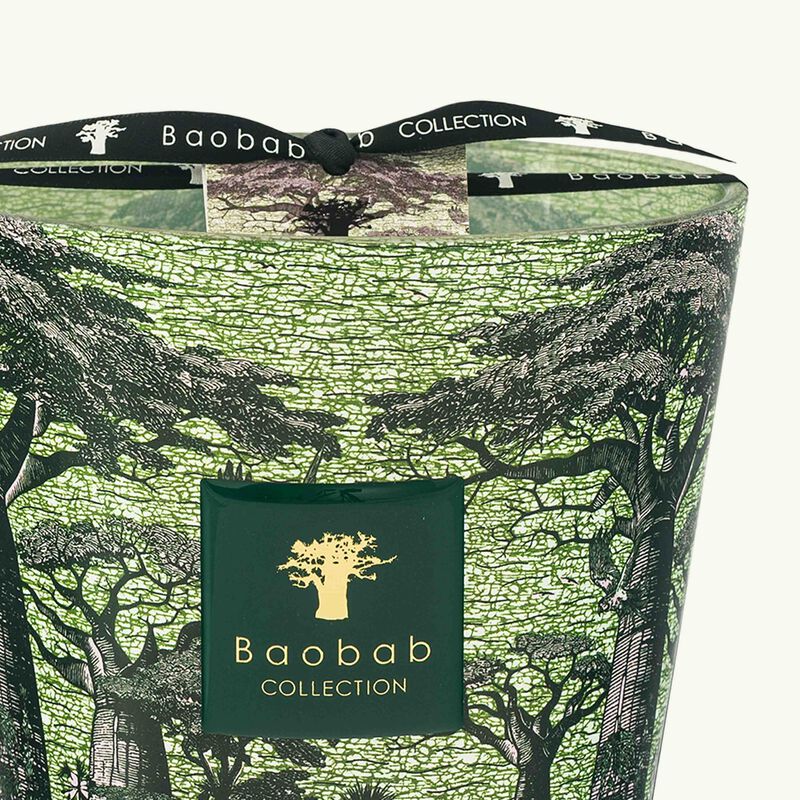 baobab collection sacred trees touba candle max 16