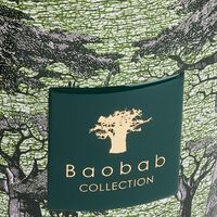 Sacred Trees Touba Candle Max 24 baobab collection sacred trees touba candle max 24