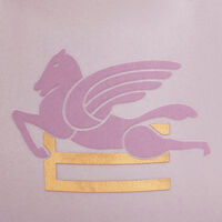 etro pegaso mug pink