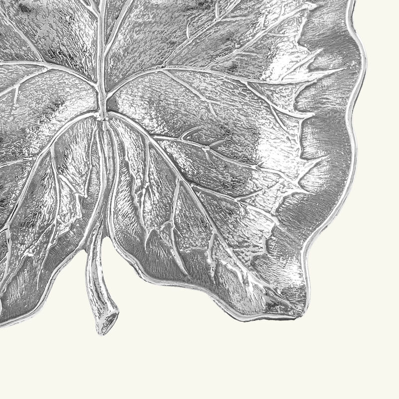 وعاء على شكل ورقة القلقاس بحجم صغير بوتشيلاتي وعاء على شكل ورقة القلقاس بحجم صغير