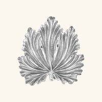 Acanthus Leaf Bowl Mini buccellati acanthus leaf bowl mini