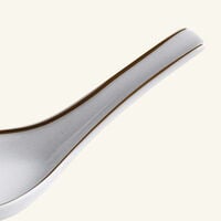 bernardaud sol chinese spoon