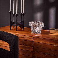 فيرساتشي مزهرية ميدوزا جراندي صغيرة شفافة