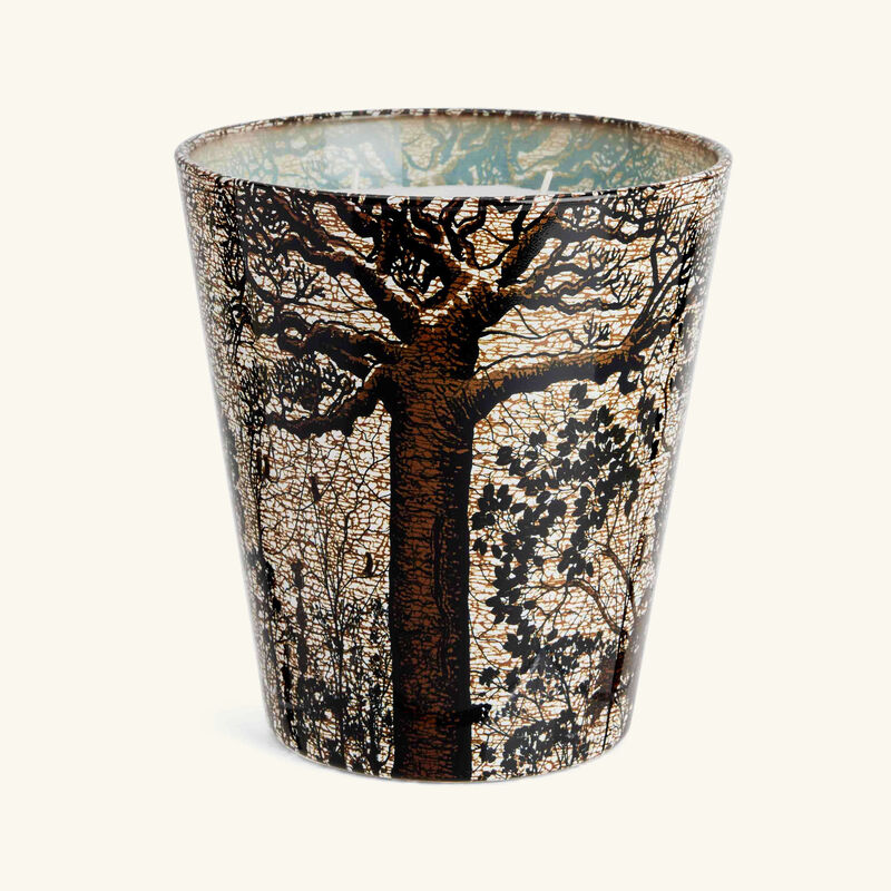 Sacred Trees Morondo Candle Max 16 baobab collection sacred trees morondo candle max 16