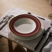 Arcadia Soup Plate Red 23cm Set of 2 baccarat arcadia soup plate red 23cm set of 2