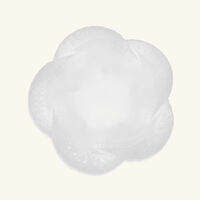 وعاء سيربان شفاف لاليك وعاء سيربان شفاف